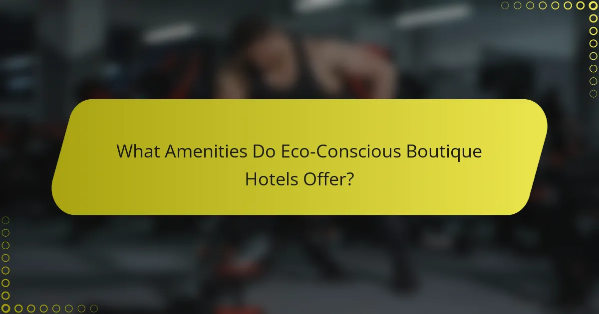 What Amenities Do Eco-Conscious Boutique Hotels Offer?