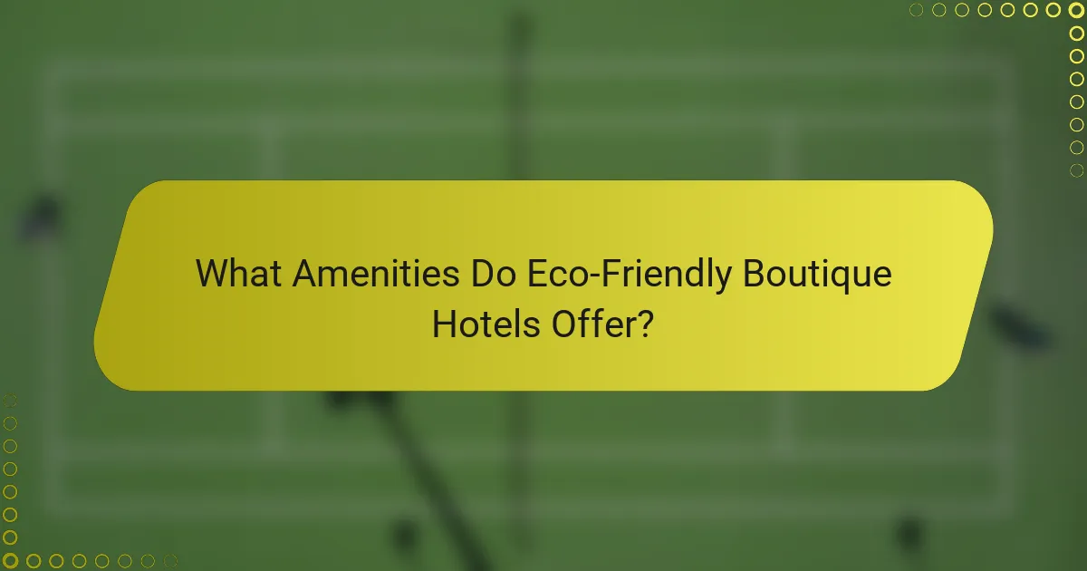 What Amenities Do Eco-Friendly Boutique Hotels Offer?