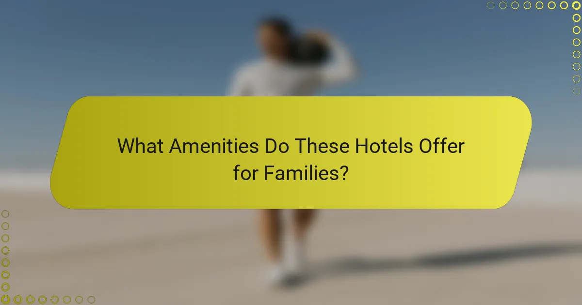 What Amenities Do These Hotels Offer for Families?