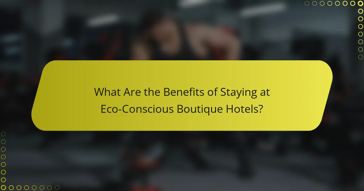 What Are the Benefits of Staying at Eco-Conscious Boutique Hotels?