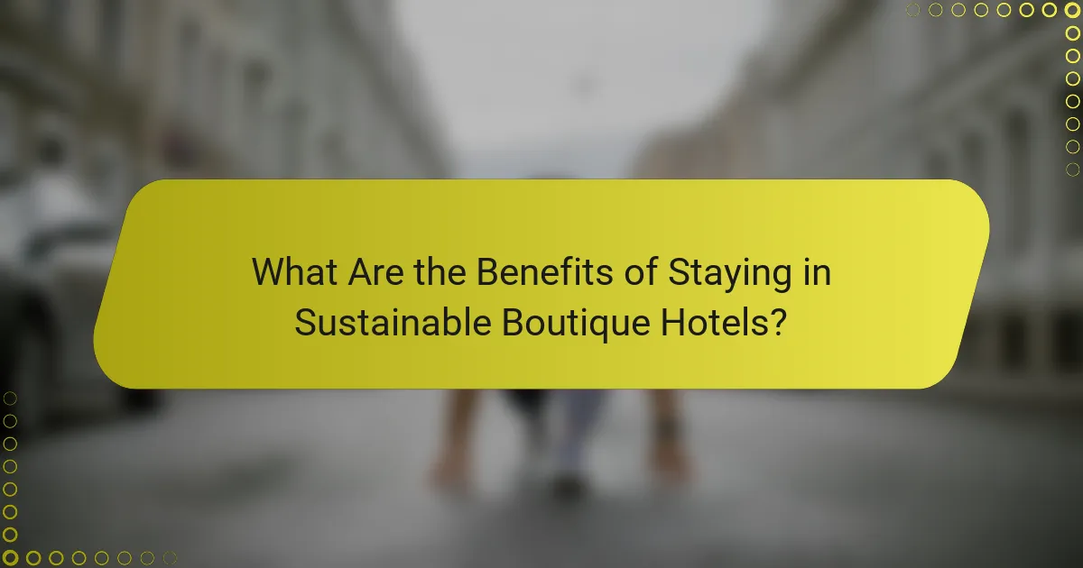 What Are the Benefits of Staying in Sustainable Boutique Hotels?